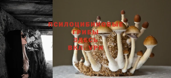 твердый Горняк