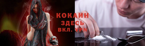 молекула духа Вязьма