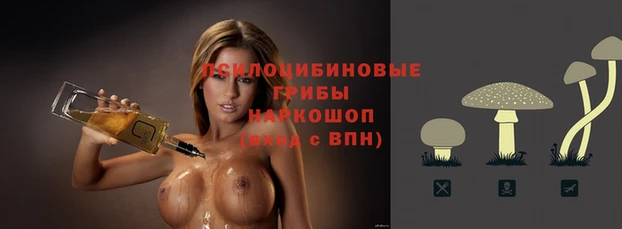 молекула духа Вязьма