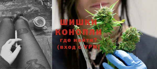 твердый Горняк