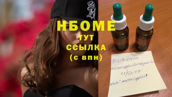 молекула духа Вязьма