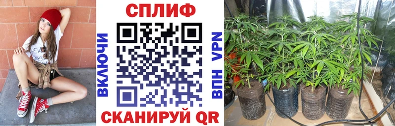 Бошки Шишки сатива Орск
